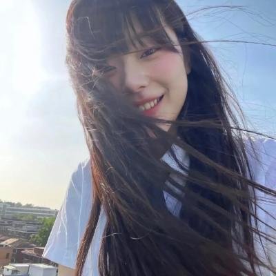 吉娃娃